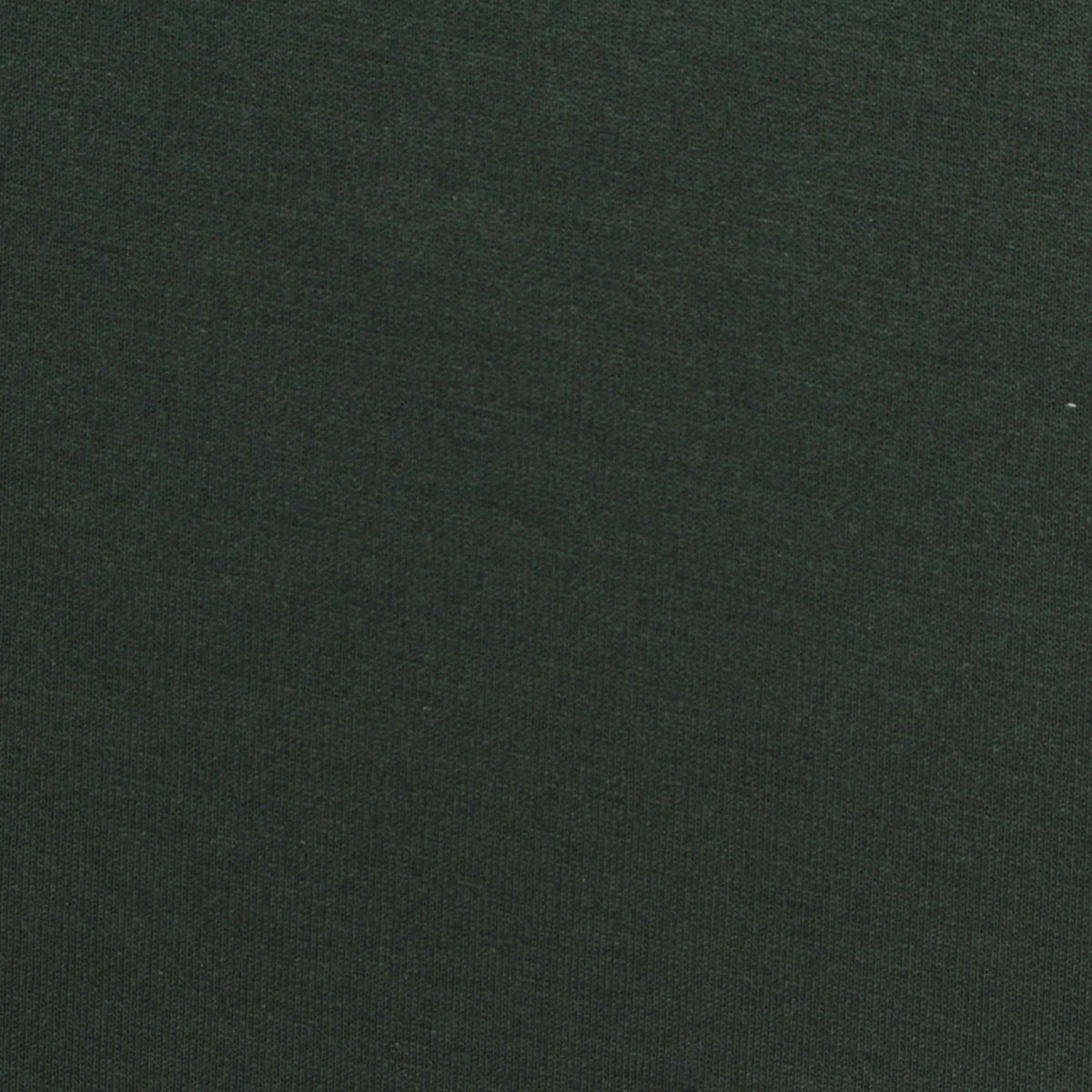 Polyester Viscose Stretch Scuba Knit Fabric, 280 gsm, 160 cm — Green, ref EF-255019