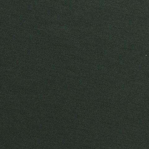 Polyester Viscose Stretch Scuba Knit Fabric, 280 gsm, 160 cm — Green, ref EF-255019