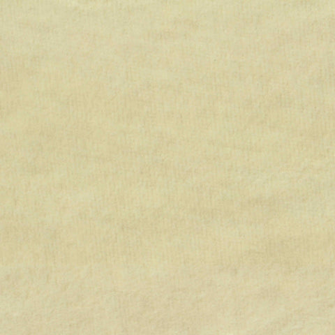 100% Cotton Knit Fabric, 430 gsm, 180 cm — Beige