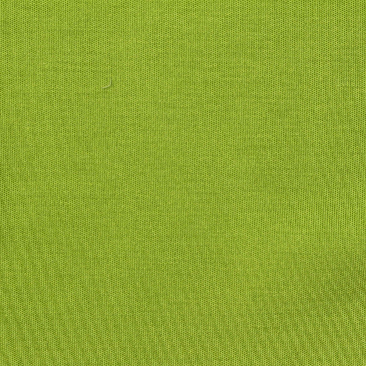 Polyester Stretch Velvet Fabric, 260 gsm, 190 cm — Green, ref EF-255099
