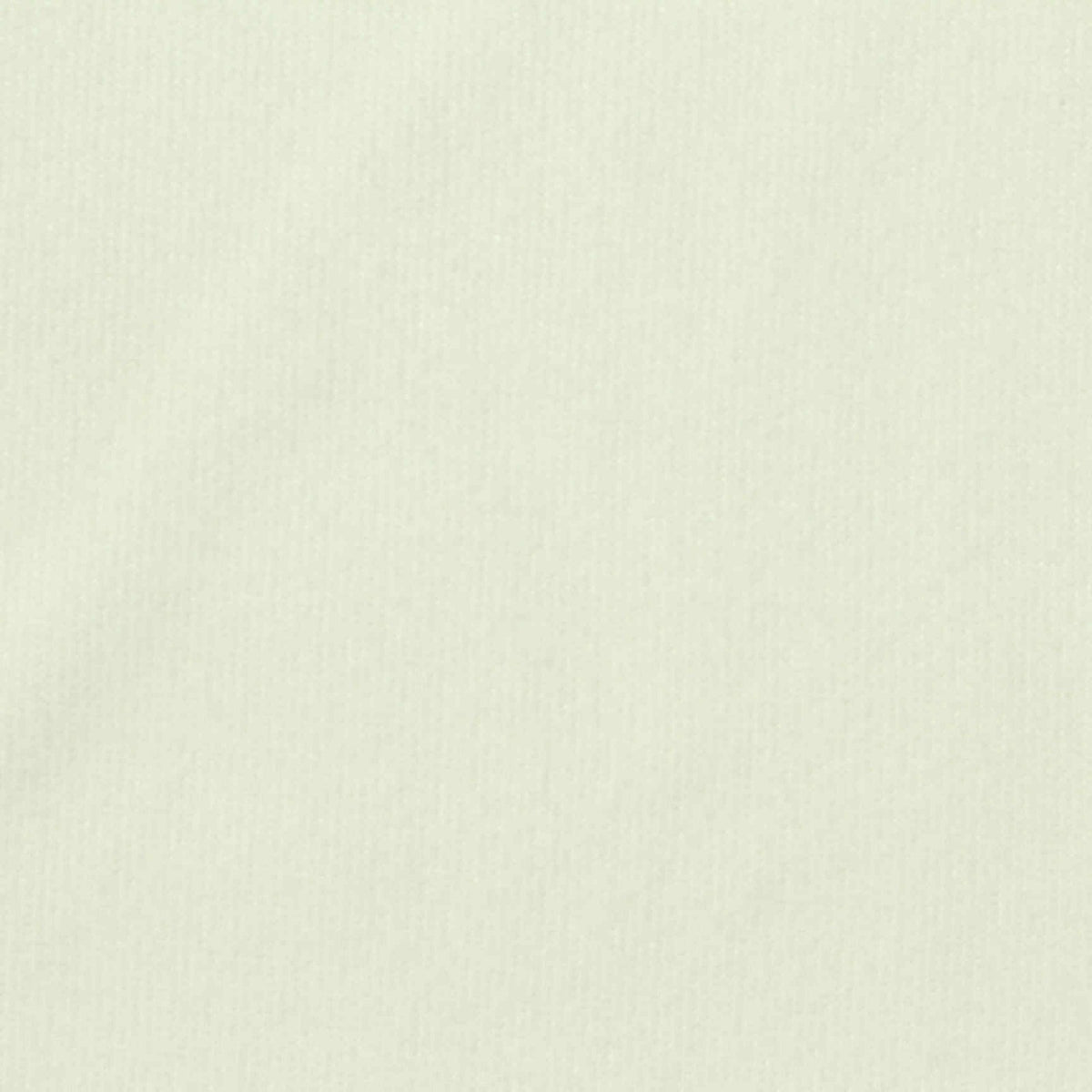 Velvet Fabric, 250 gsm, 185 cm — Beige