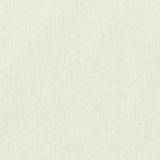 Velvet Fabric, 250 gsm, 185 cm — Beige — texture