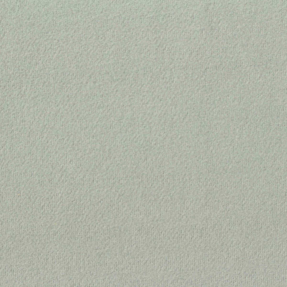 Brushed 100% Polyester Piqué Knit Fabric, 210 gsm, 175 cm — Green