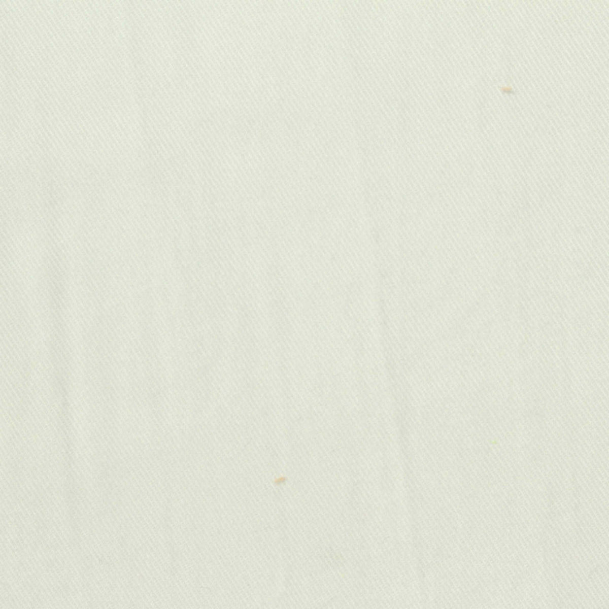 100% Tencel Lyocell Woven Fabric, 200 gsm, 140 cm — White