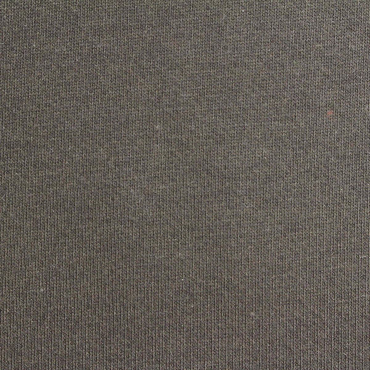Brushed Cotton Polyester French Terry Fabric, 260 gsm, 170 cm — Khaki