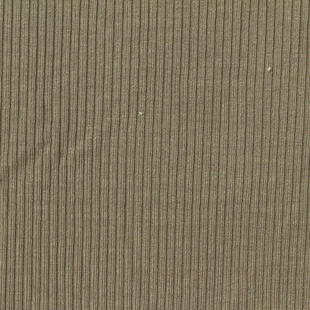 Viscose Stretch Rib Knit Fabric, 250 gsm, 120 cm — Khaki