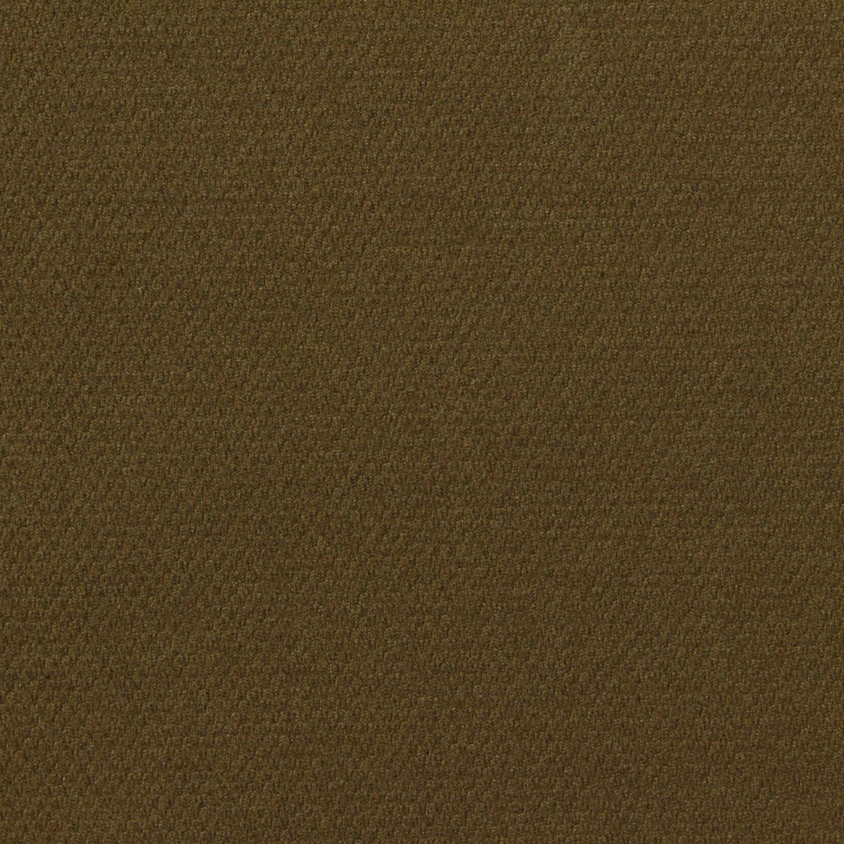 Polyester Stretch Knit Fabric, 420 gsm, 160 cm — Khaki, ref EF-255295