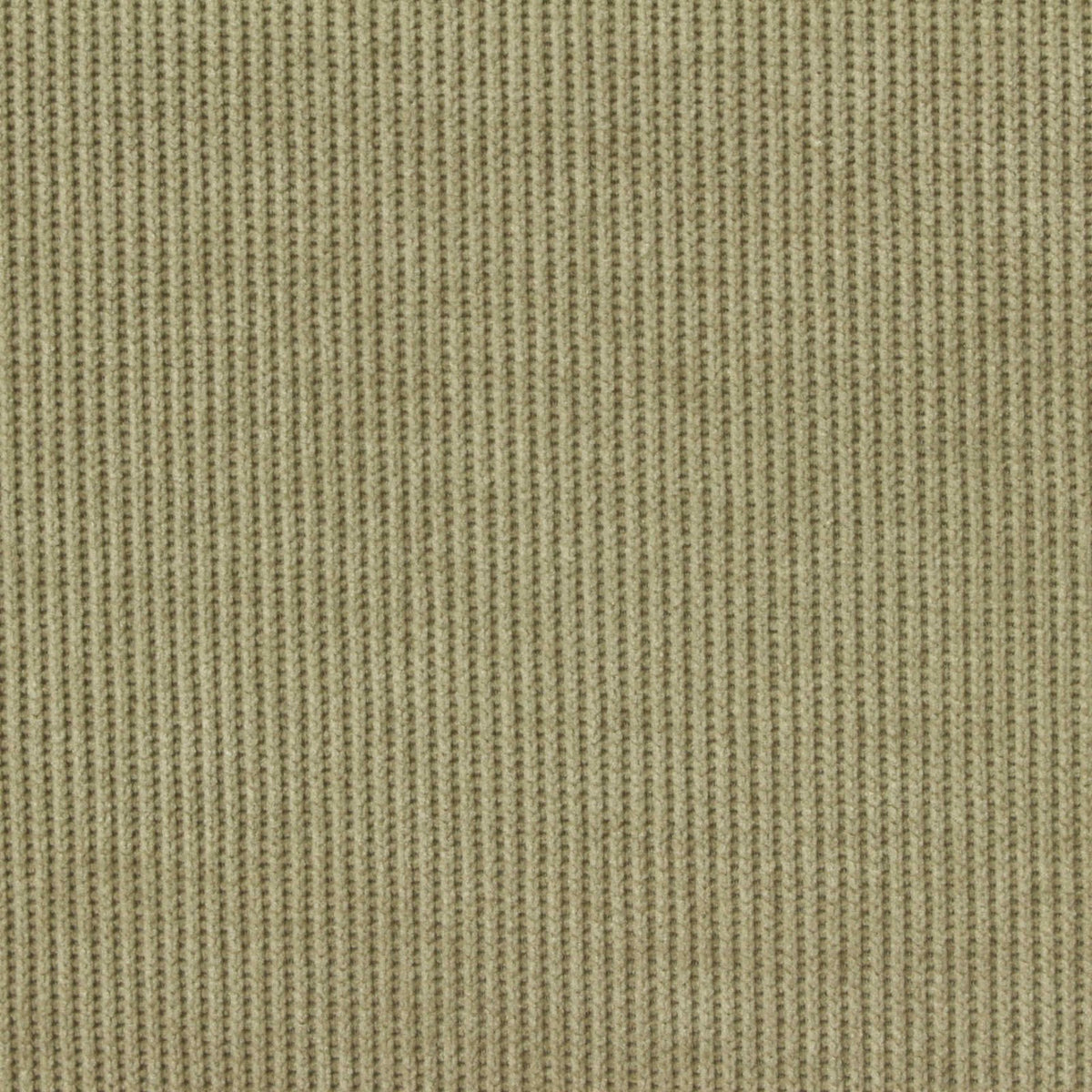 Polyester Stretch Knit Fabric, 300 gsm, 190 cm — Khaki