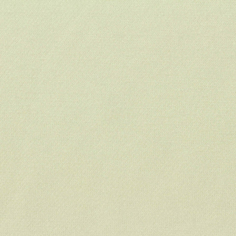 Polyester Viscose Stretch Knit Fabric, 300 gsm, 160 cm — Khaki