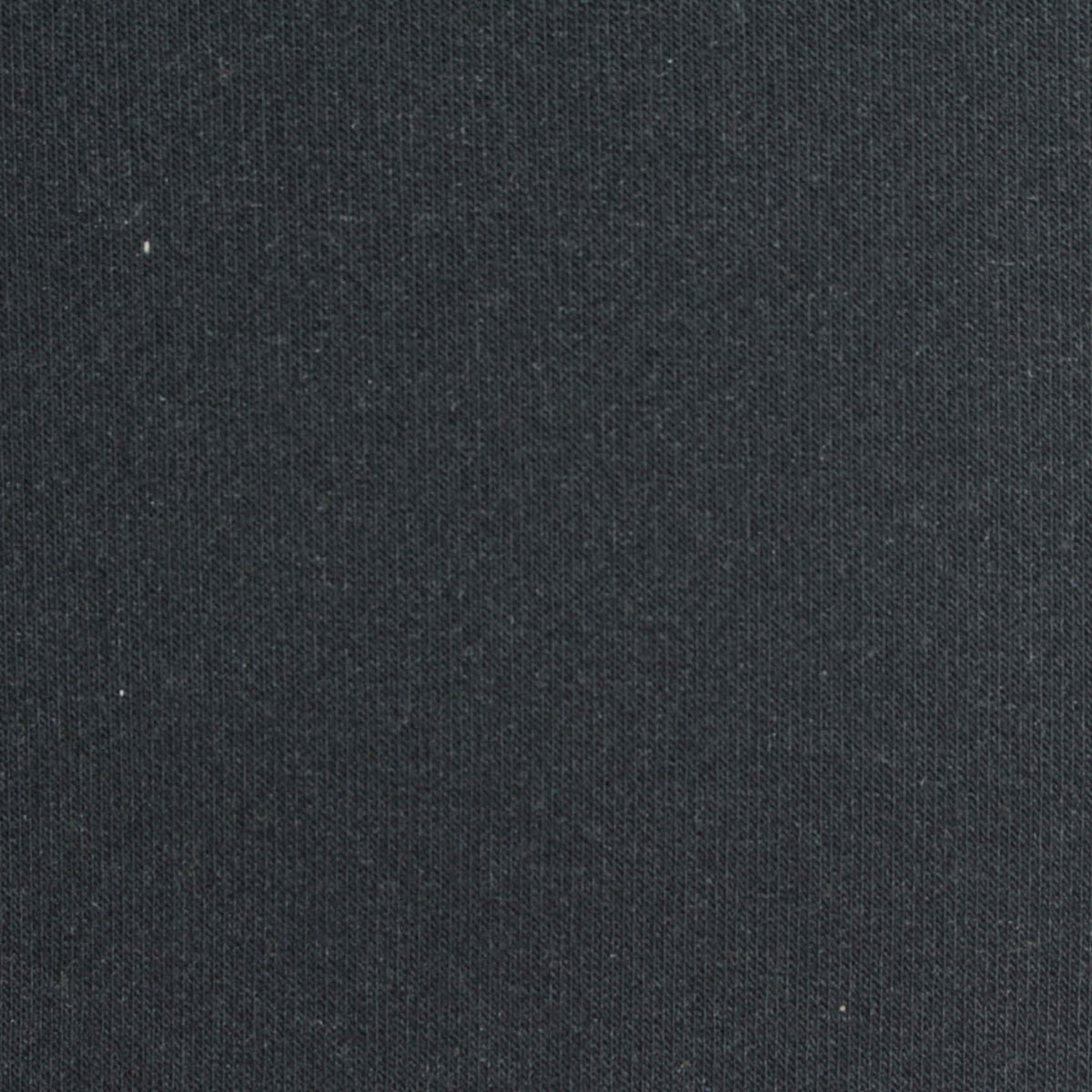 Brushed 100% Polyester Jersey Knit Fabric, 244 gsm, 162 cm — Black