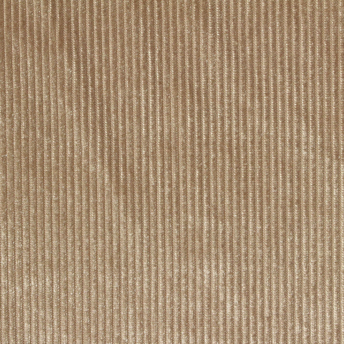Polyester Stretch Corduroy Fabric, 215 gsm, 165 cm — Khaki