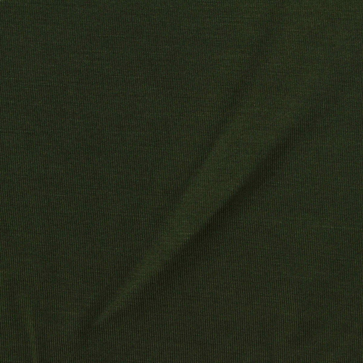 Viscose Stretch Jersey Knit Fabric, 200 gsm, 175 cm — Green, ref EF-256300