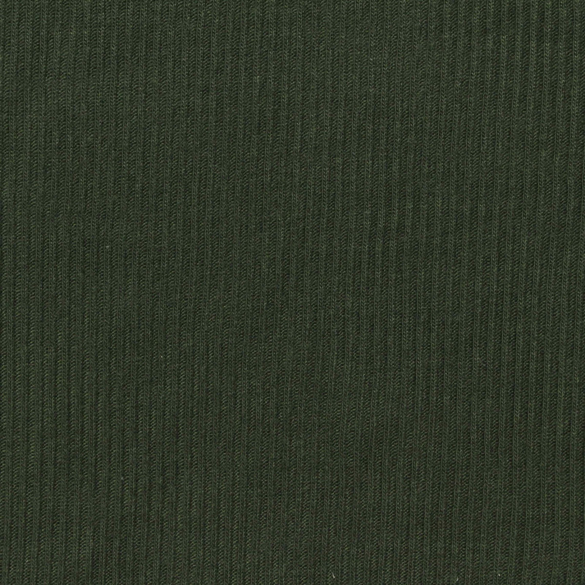 Polyester Viscose Stretch Rib Knit Fabric, 160 gsm, 140 cm — Green