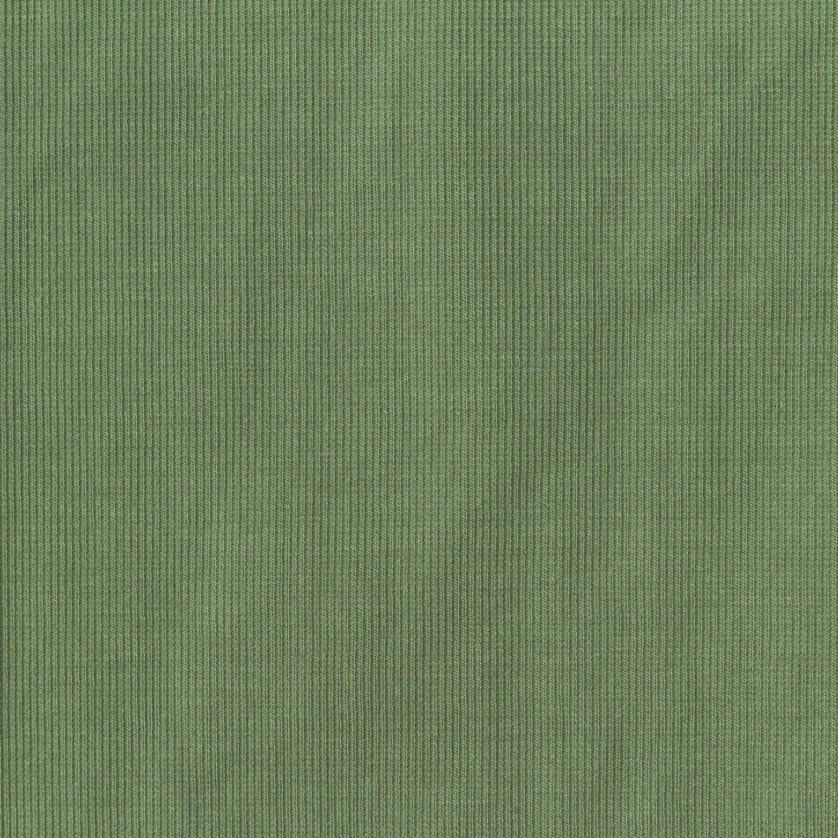 Viscose Nylon Stretch Interlock Knit Fabric, 230 gsm, 160 cm — Green