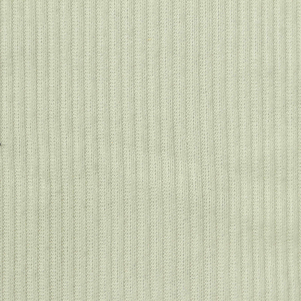 Brushed Polyester Stretch Rib Knit Fabric, 185 gsm, 160 cm — Khaki