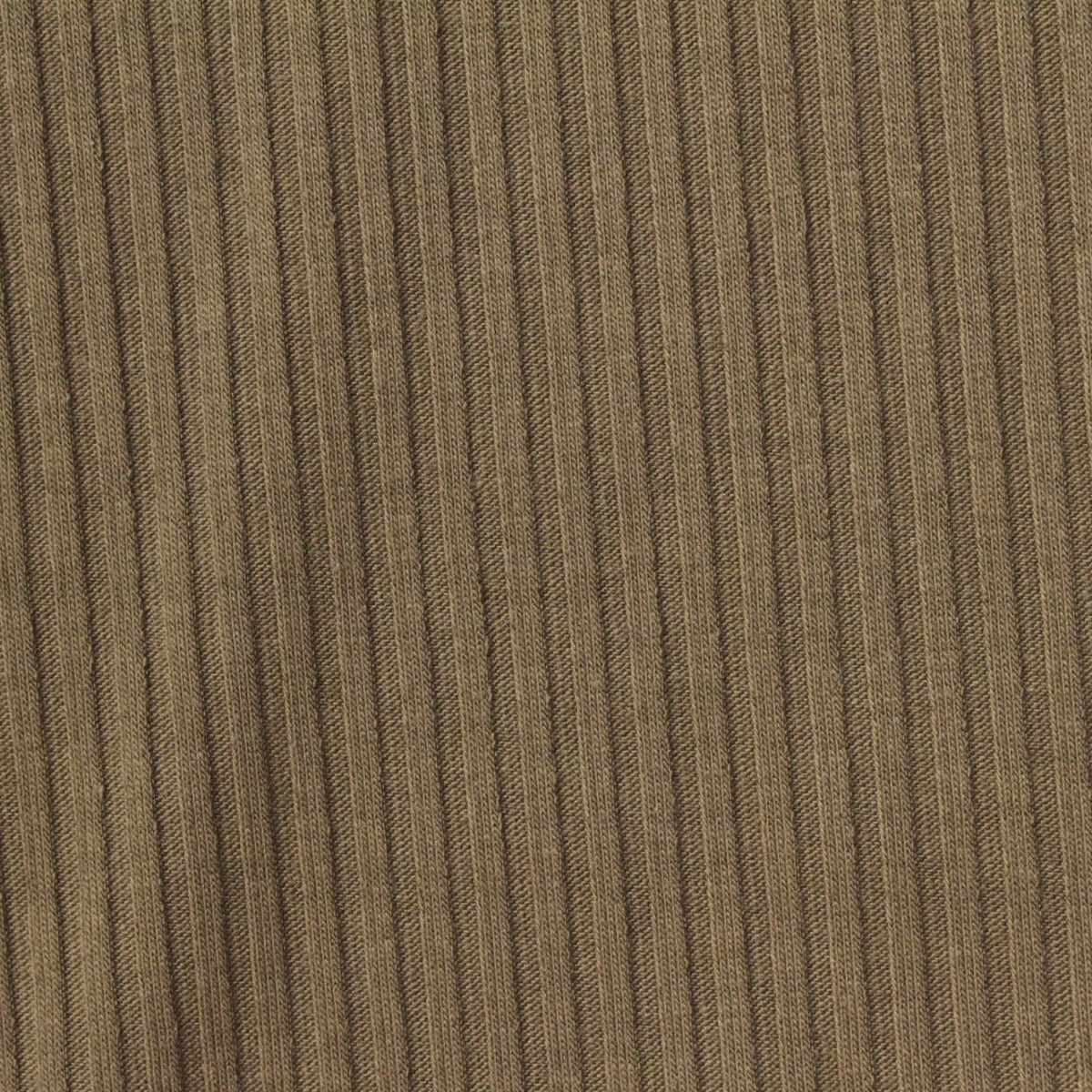 Polyester Cotton Stretch Rib Knit Fabric, 260 gsm, 145 cm — Khaki