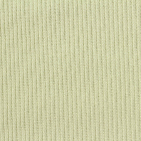 Cotton Stretch Rib Knit Fabric, 430 gsm, 127 cm — Khaki
