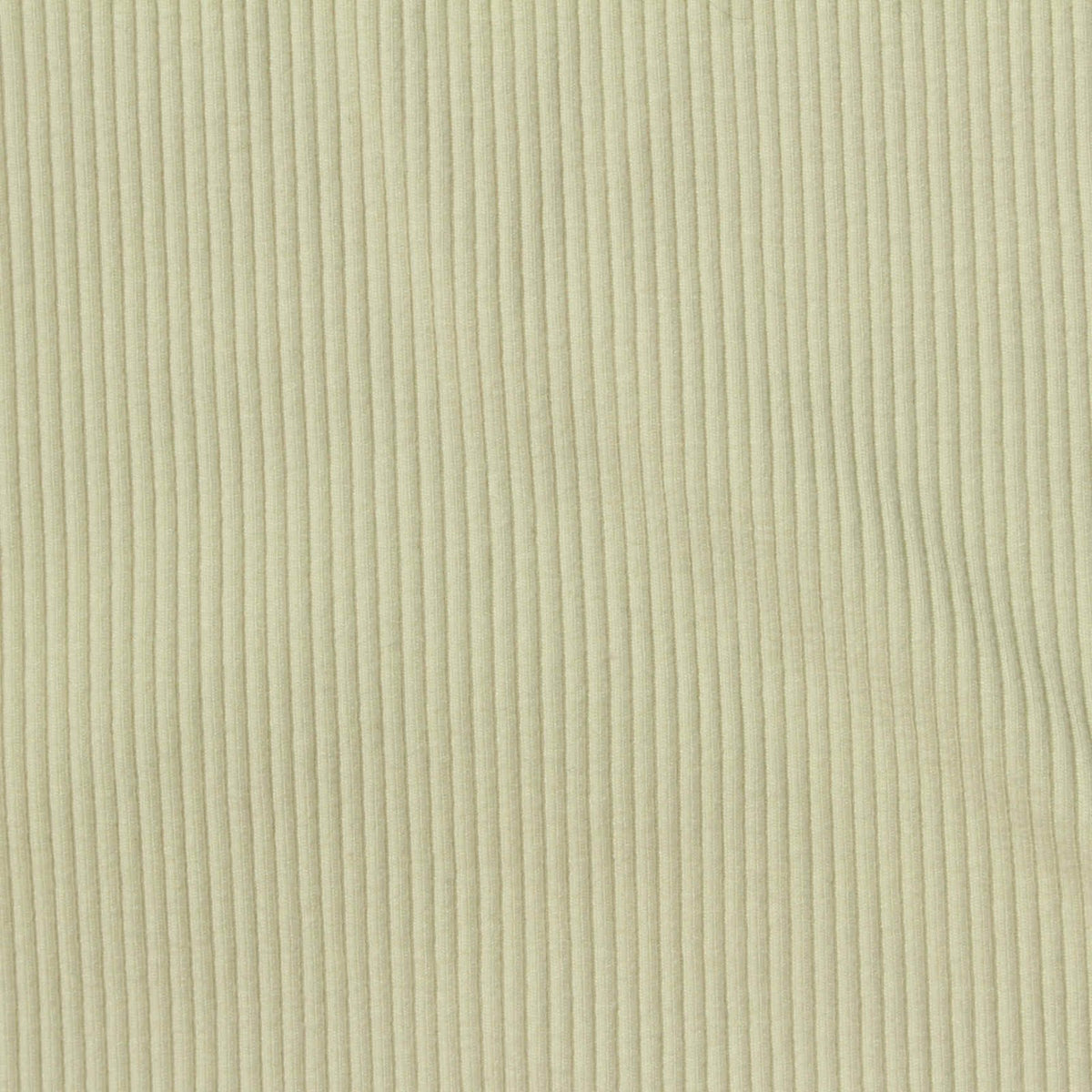 Viscose Stretch Rib Knit Fabric, 550 gsm, 115 cm — Beige