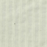 Beige Stripes Jacquard, Cotton — texture