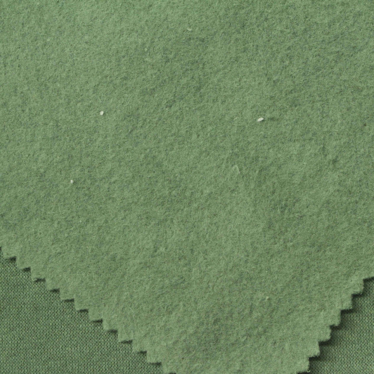Brushed French Terry Fabric, 270 gsm, 180 cm — Green