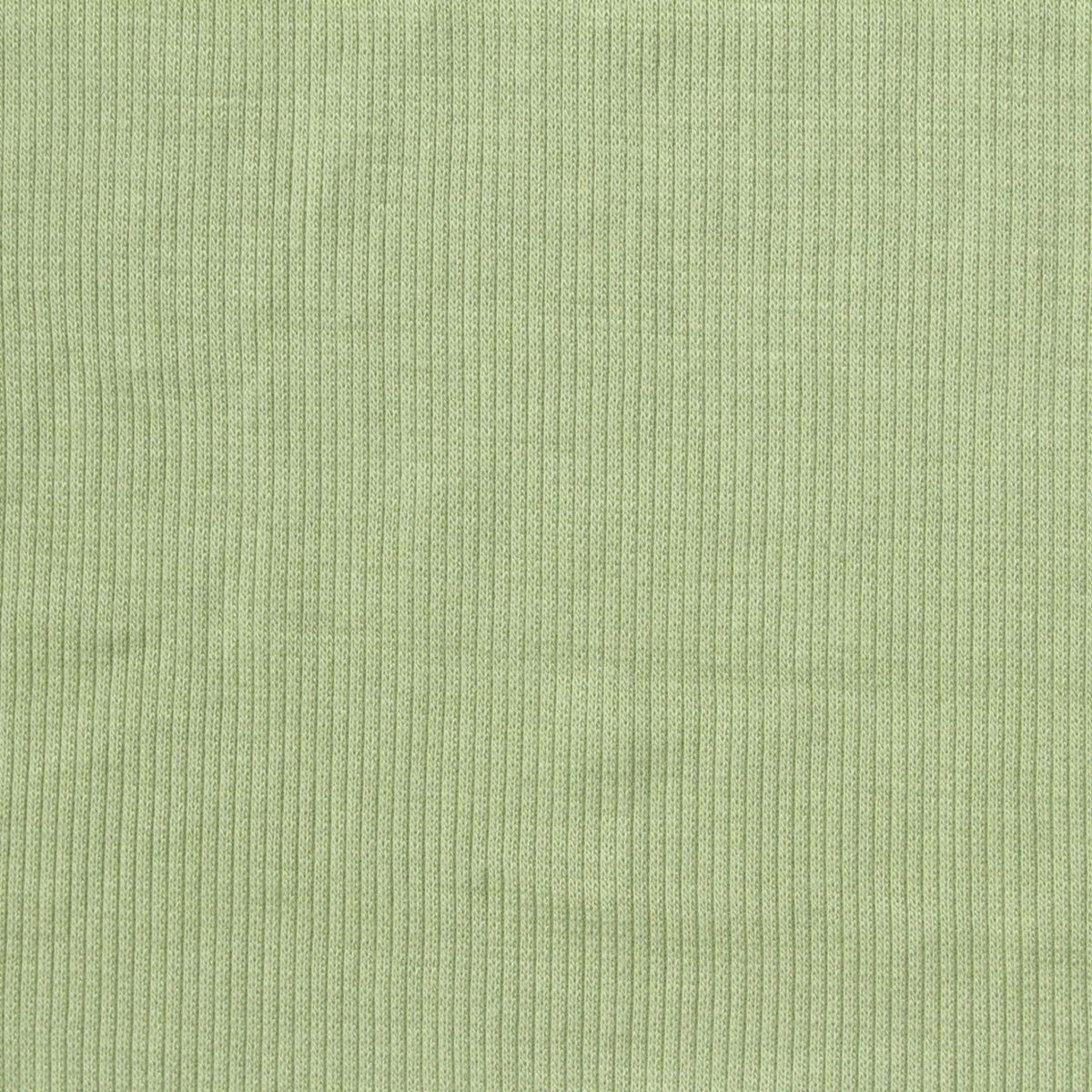 Tencel Lyocell Stretch Rib Knit Fabric, 231 gsm, 125 cm — Green