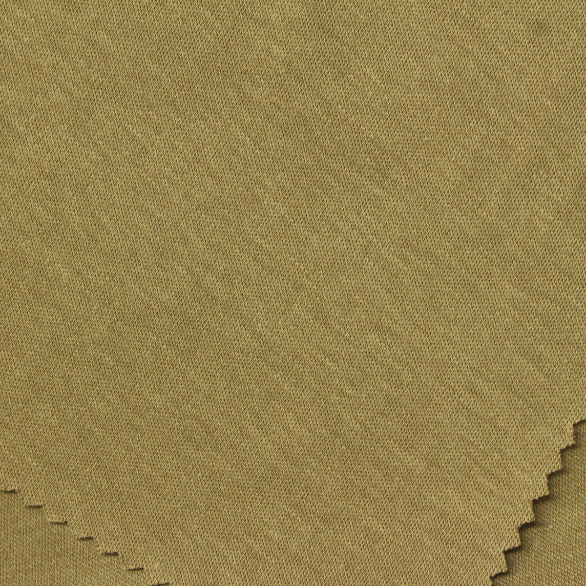 Cotton Tencel Lyocell Interlock Knit Fabric, 230 gsm, 165 cm — Khaki