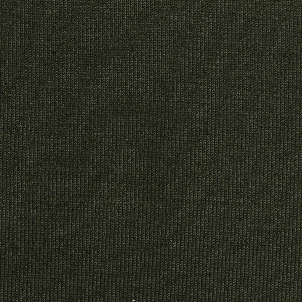Polyester Stretch Rib Knit Fabric, 450 gsm, 110 cm — Green