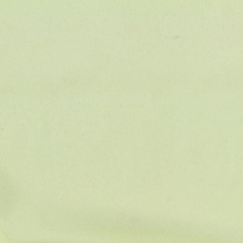 Nylon Stretch Interlock Knit Fabric, 85 gsm, 170 cm — Green