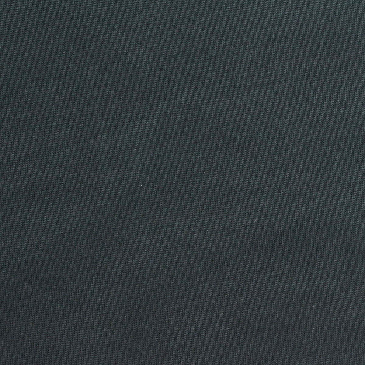 Washed Modal Polyester Jersey Knit Fabric, 184 gsm, 168 cm — Green