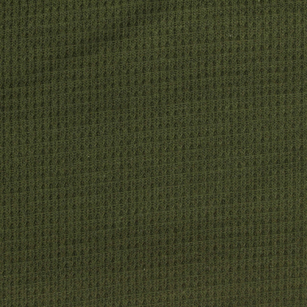 Cotton Polyester Waffle Knit Fabric, 390 gsm, 160 cm — Green