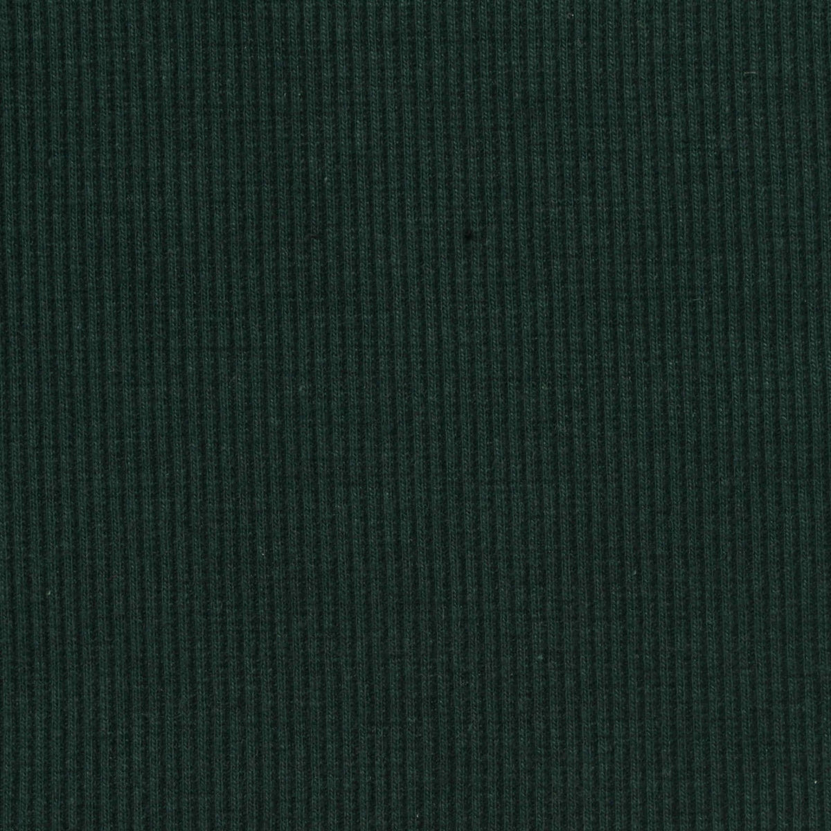 Cotton Polyester Stretch Rib Knit Fabric, 350 gsm, 120 cm — Green
