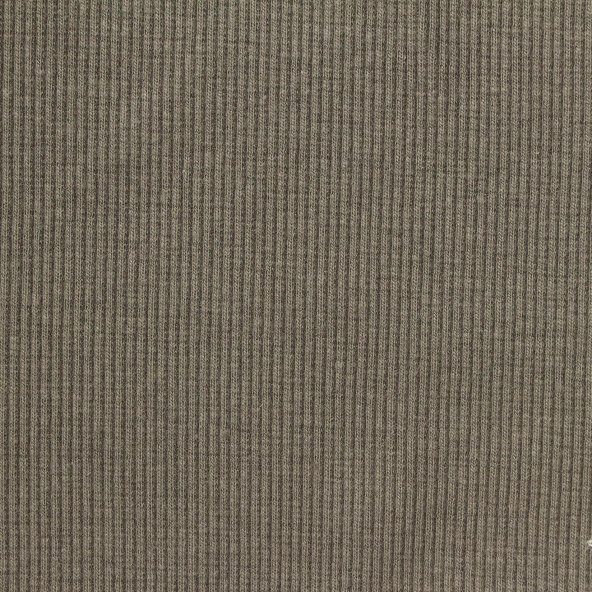 Cotton Polyester Stretch Rib Knit Fabric, 350 gsm, 120 cm — Khaki