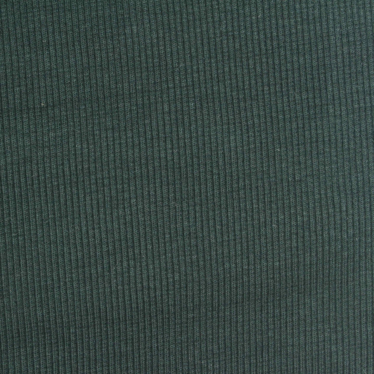 Cotton Stretch Rib Knit Fabric, 410 gsm, 110 cm — Green