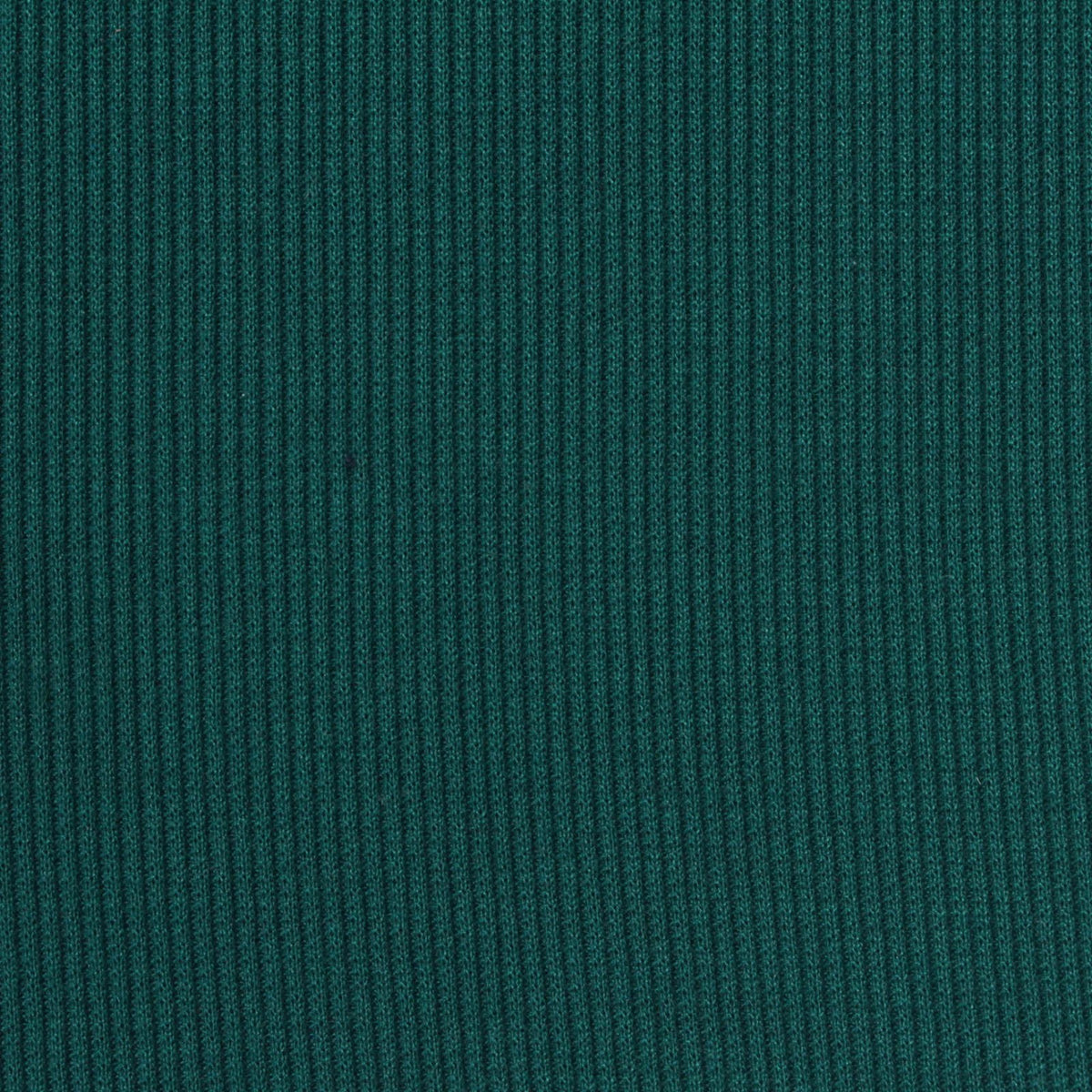 Polyester Stretch Rib Knit Fabric, 293 gsm — Green