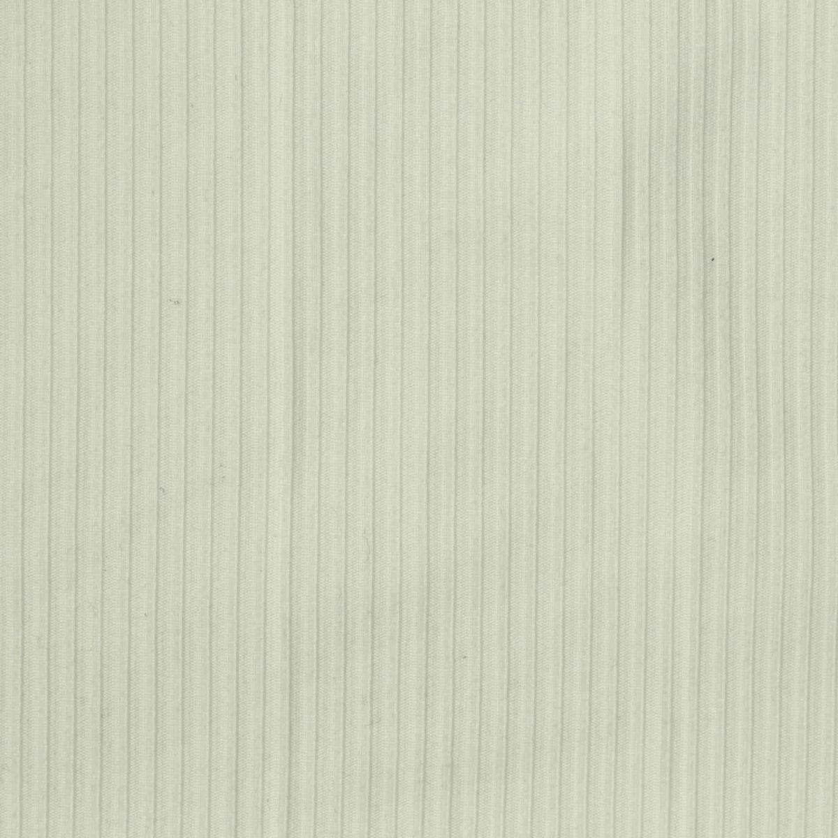 Brushed Polyester Stretch Rib Knit Fabric, 230 gsm, 172 cm — Green