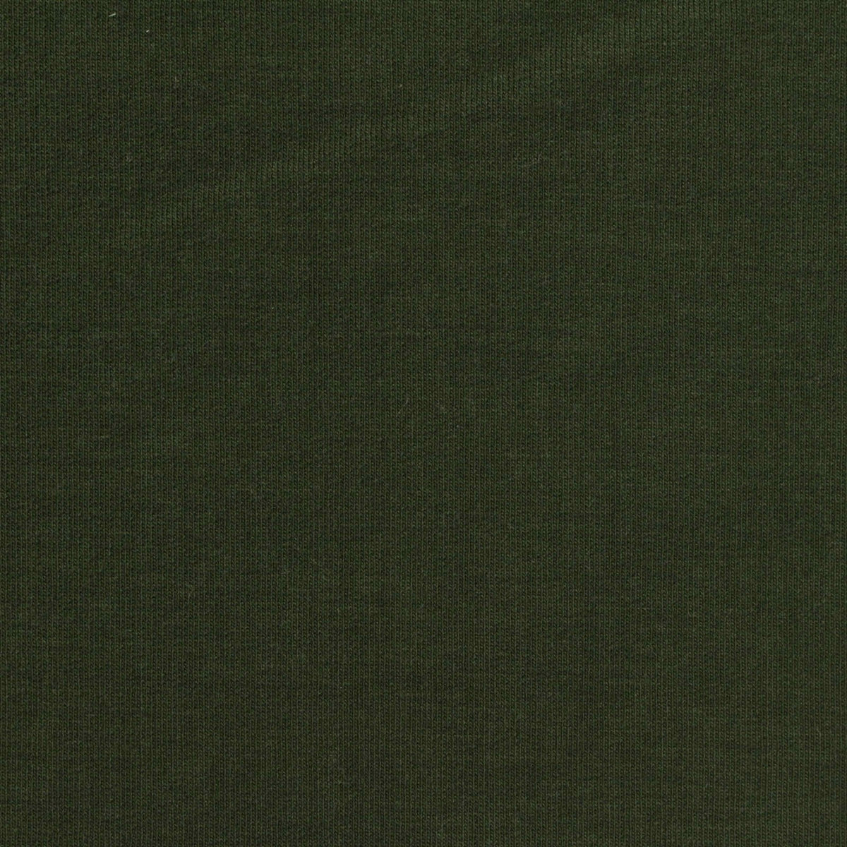 Polyester Stretch French Terry Fabric, 255 gsm, 160 cm — Green, ref EF-260635