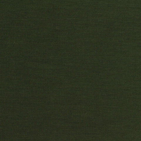 Polyester Stretch French Terry Fabric, 255 gsm, 160 cm — Green, ref EF-260639