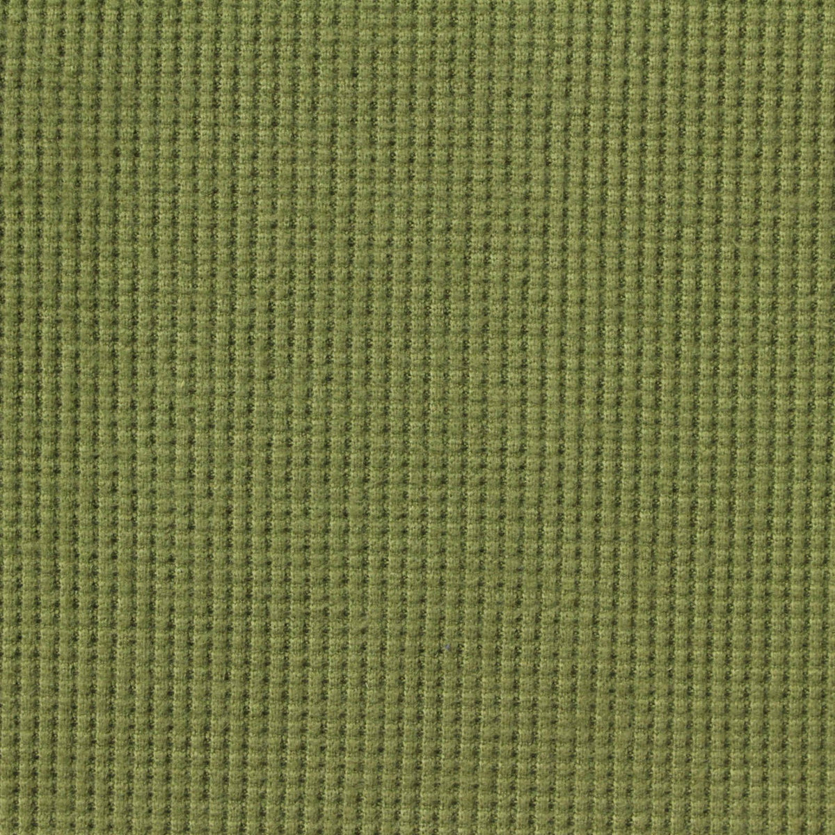 Polyester Stretch Rib Knit Fabric, 240 gsm, 160 cm — Green, ref EF-260726
