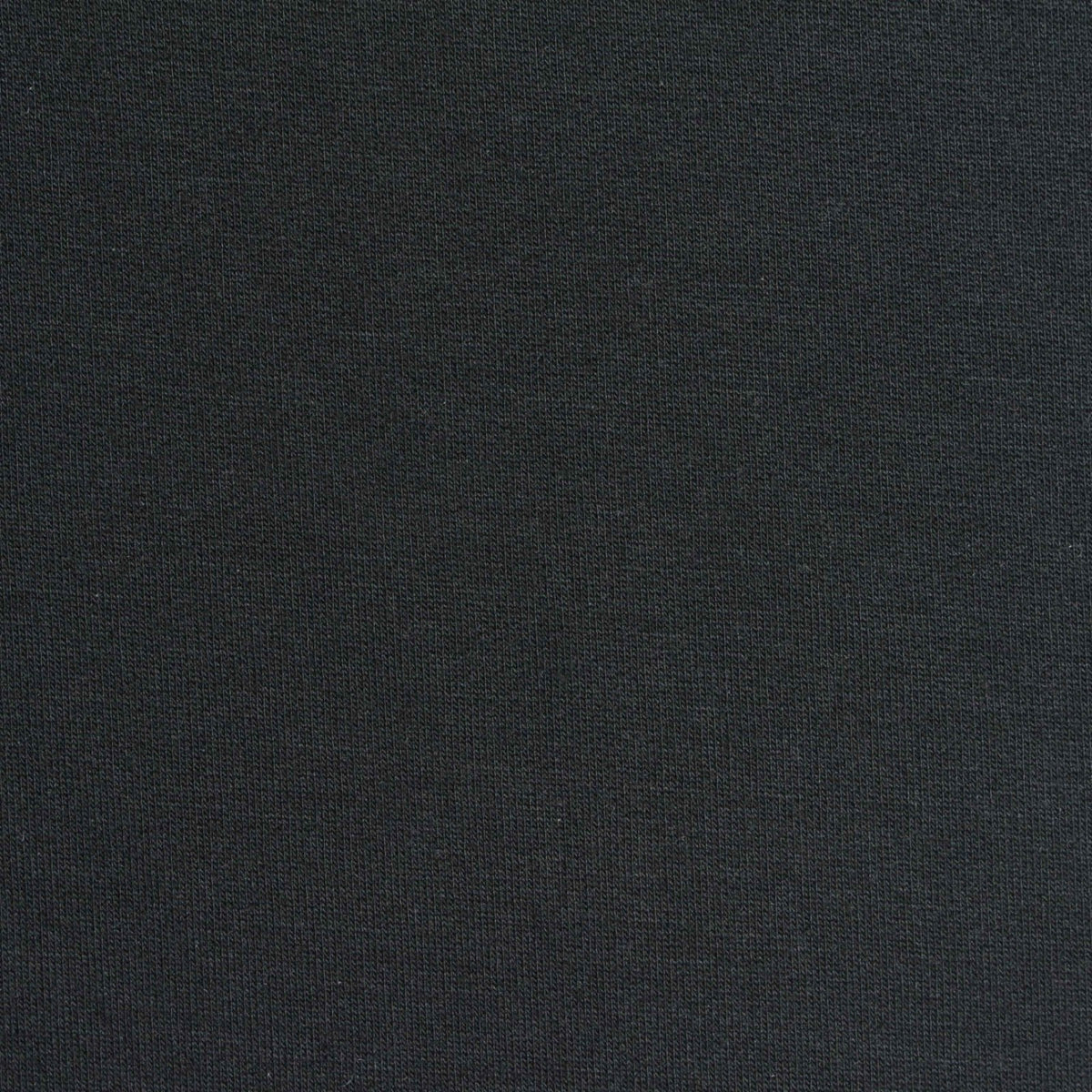 Brushed Modal Polyester Stretch French Terry Fabric, 270 gsm, 157 cm — Black