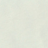 Cotton Polyester Stretch Jersey Knit Fabric, 140 gsm, 133 cm — Green — texture