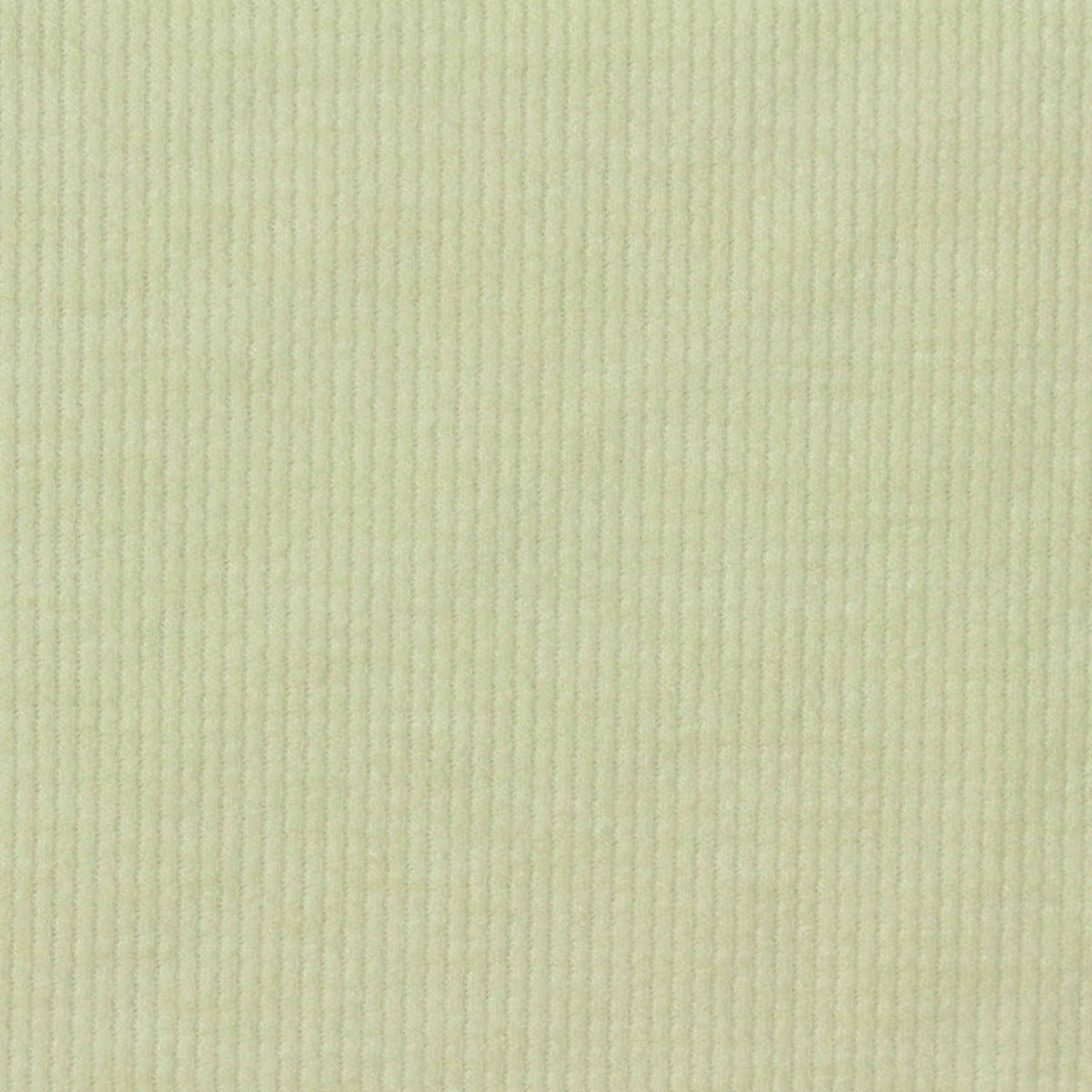 Viscose Polyester Blend Stretch Knit Fabric, 280 gsm, 185 cm — Beige, ref EF-261071