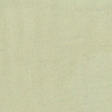 100% Cotton Jersey Knit Fabric, 145 gsm, 163 cm — Green — texture