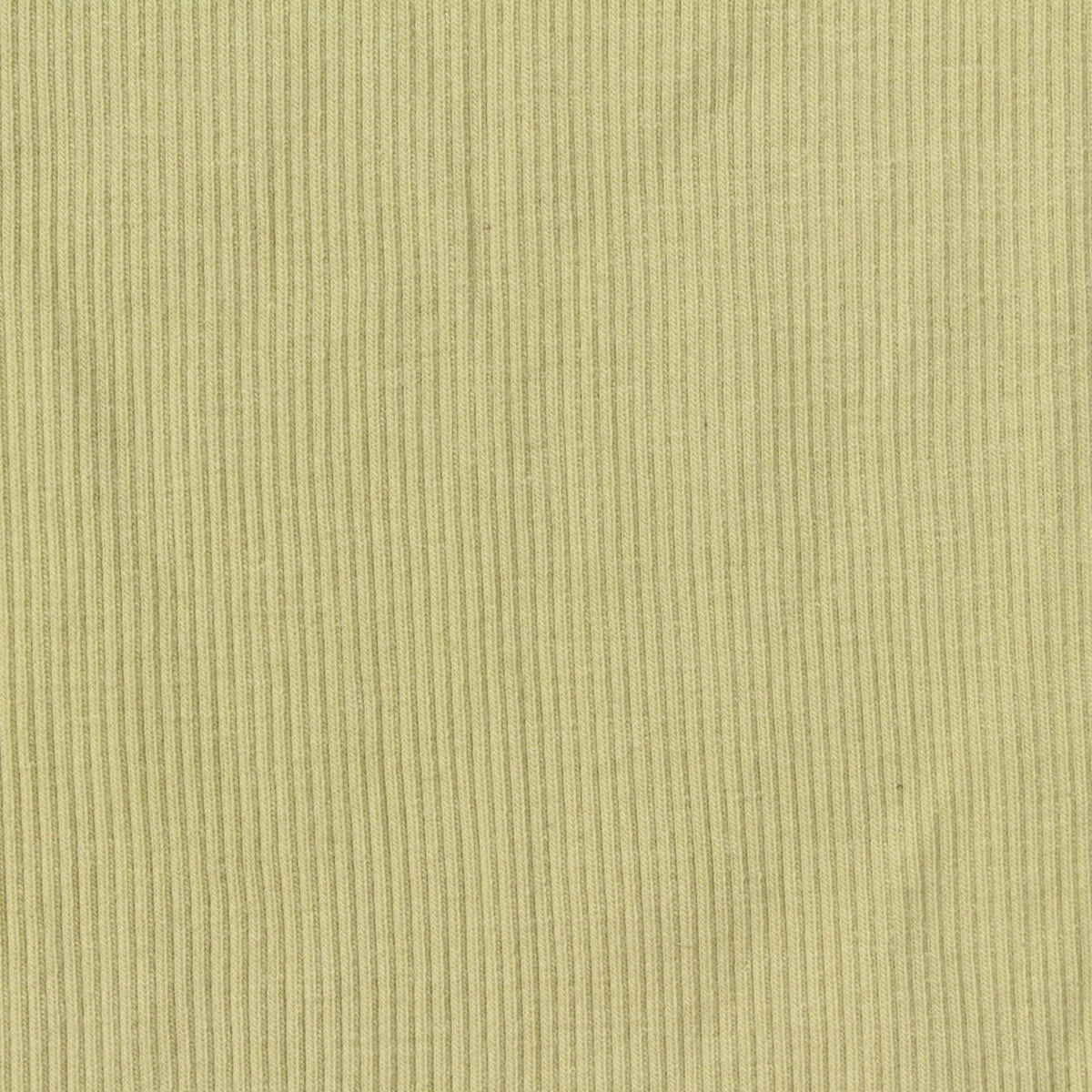 Cotton Stretch Rib Knit Fabric, 280 gsm, 130 cm — Khaki, ref EF-261441