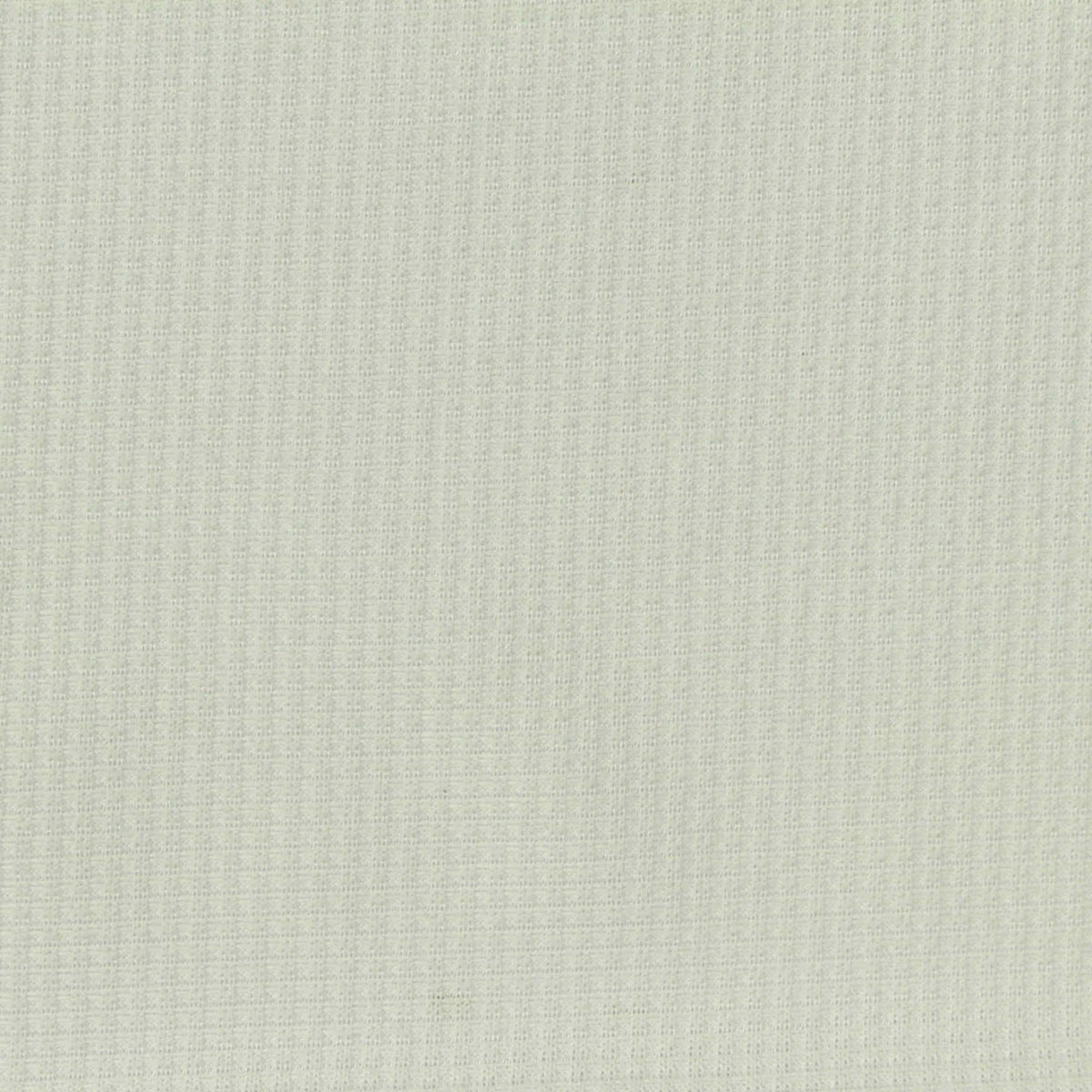 Brushed Polyester Stretch Waffle Knit Fabric, 155 gsm, 175 cm — Green