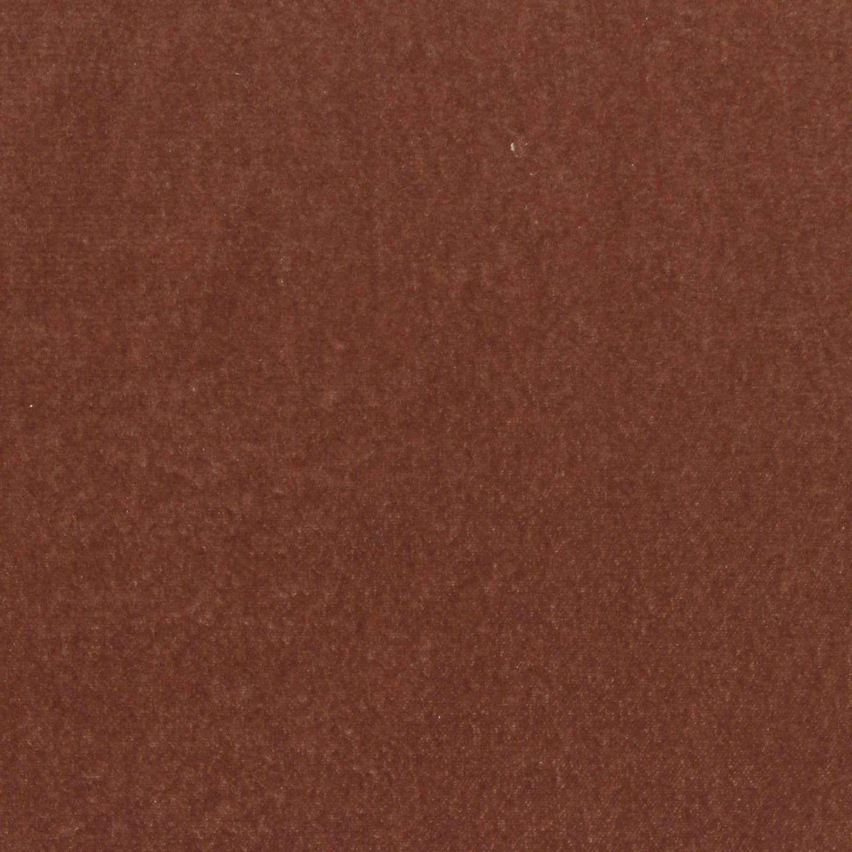 Polyester Stretch Velvet Fabric, 270 gsm, 150 cm — Brown