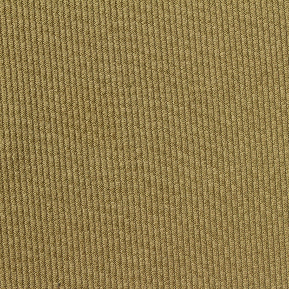 Polyester Stretch Rib Knit Fabric, 280 gsm, 165 cm — Khaki, ref EF-262095