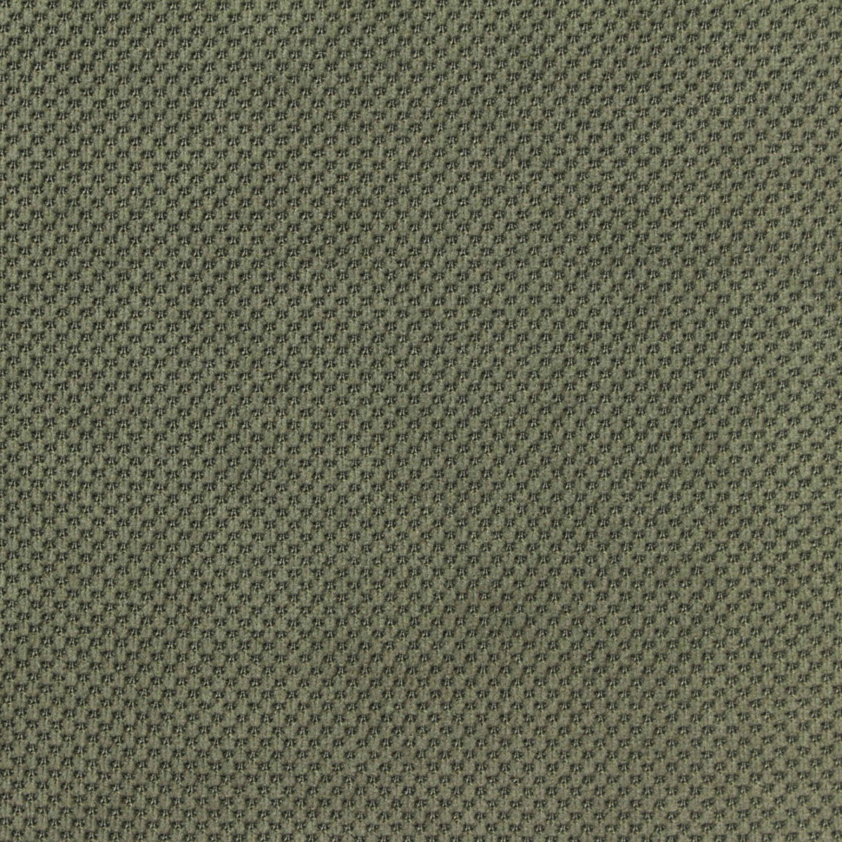 Olive Textured Piqué Knit