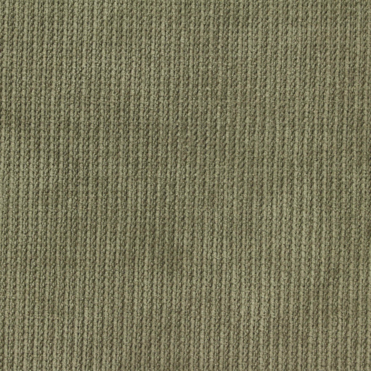 Knit Fabric, 280 gsm, 165 cm — Khaki, ref EF-262101