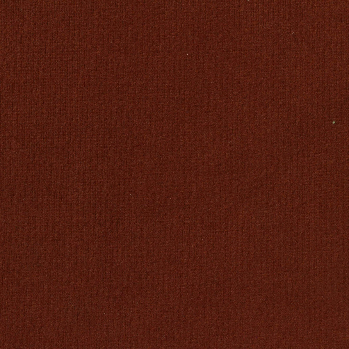 Polyester Stretch Velvet Fabric, 280 gsm, 185 cm — Brown