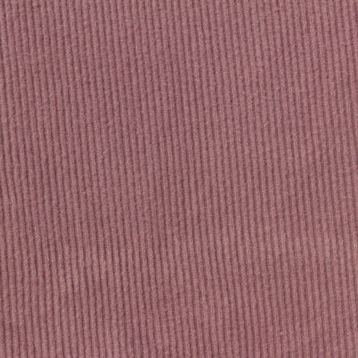 Brushed Polyester Stretch Rib Knit Fabric, 180 gsm, 140 cm — Purple